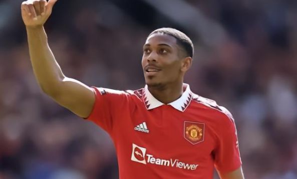 苛的标准 苛的标准